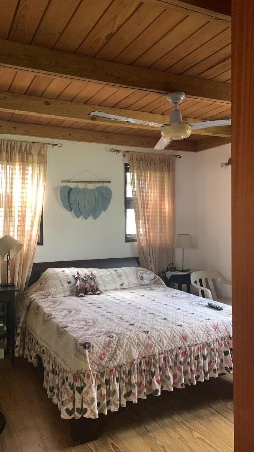 Manaya Bed & Breakfast Bed and Breakfast Πούντα Κάνα Εξωτερικό φωτογραφία